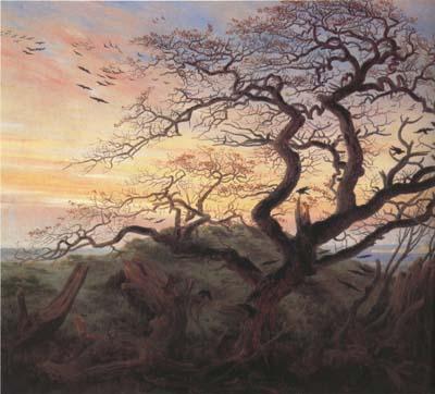 Caspar David Friedrich Tree with Crows (mk10) France oil painting art